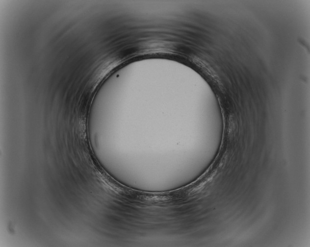 X0000097801321200804041305