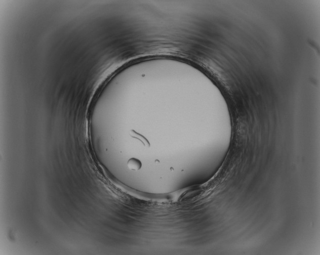 X0000097801324200804041306