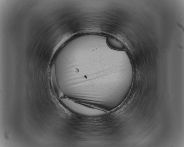 X0000097801325200804041306