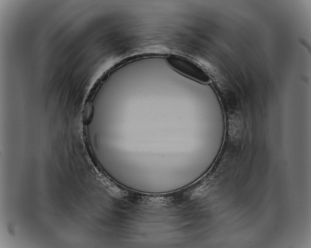 X0000097801326200804041306