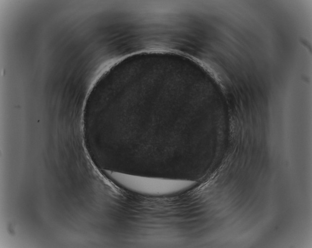 X0000097801327200804041306