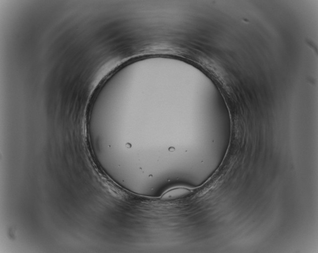 X0000097801328200804041306