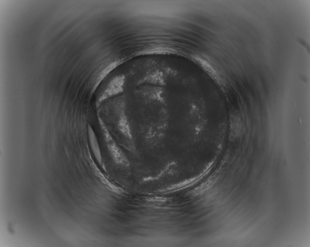 X0000097801329200804041306