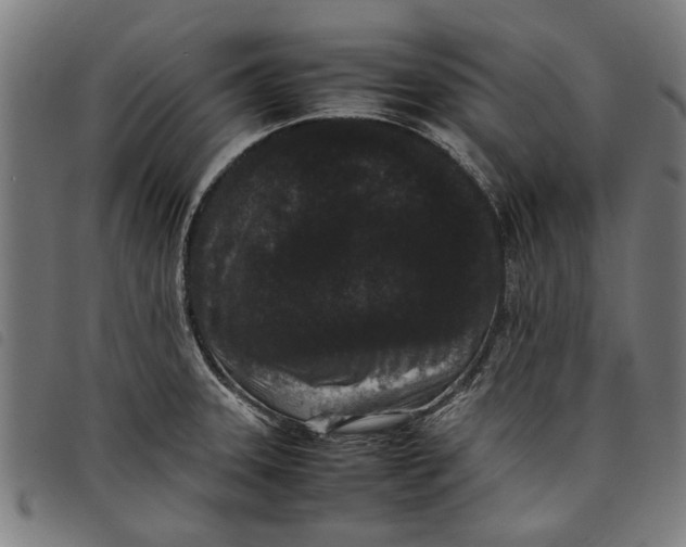 X0000097801331200804041306