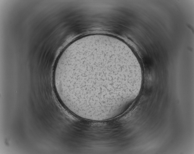 X0000097801333200804041306