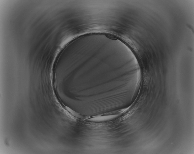 X0000097801334200804041306