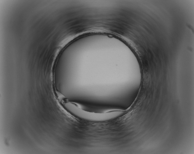 X0000097801335200804041306