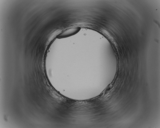 X0000097801336200804041306