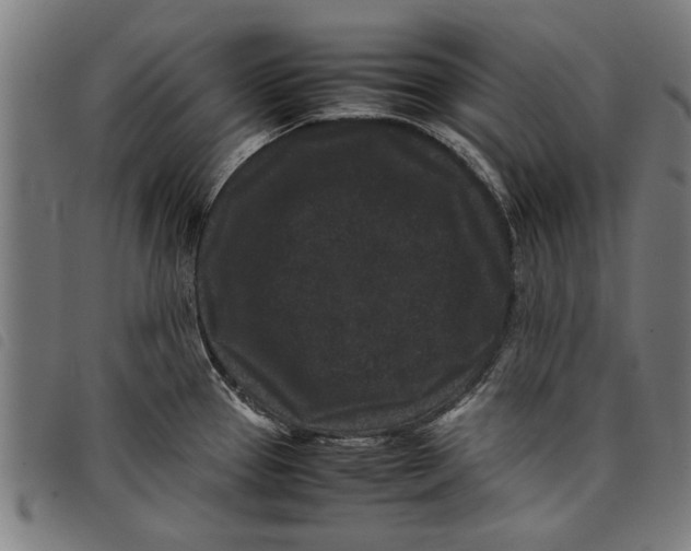 X0000097801337200804041306