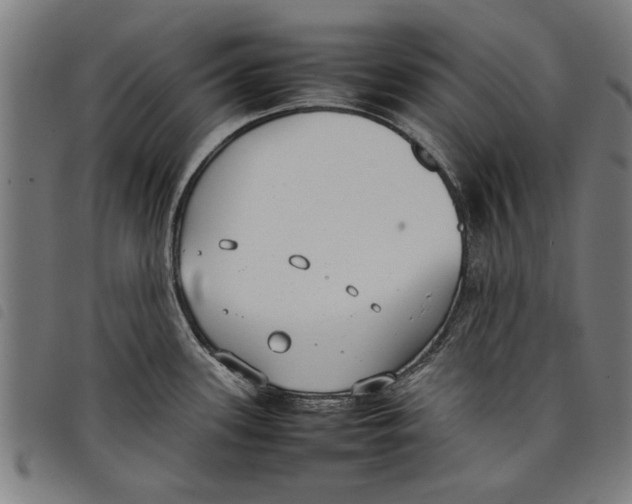 X0000097801339200804041306