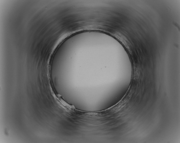 X0000097801342200804041306