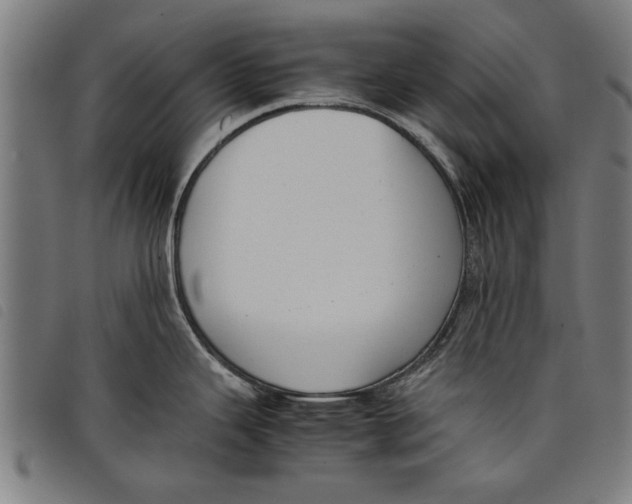 X0000097801343200804041306