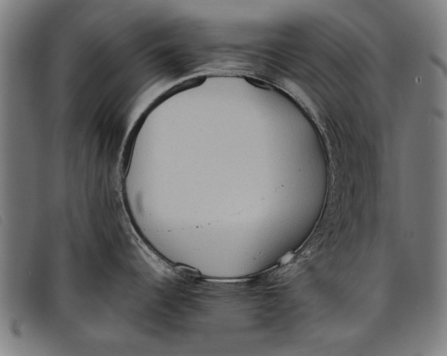 X0000097801344200804041306