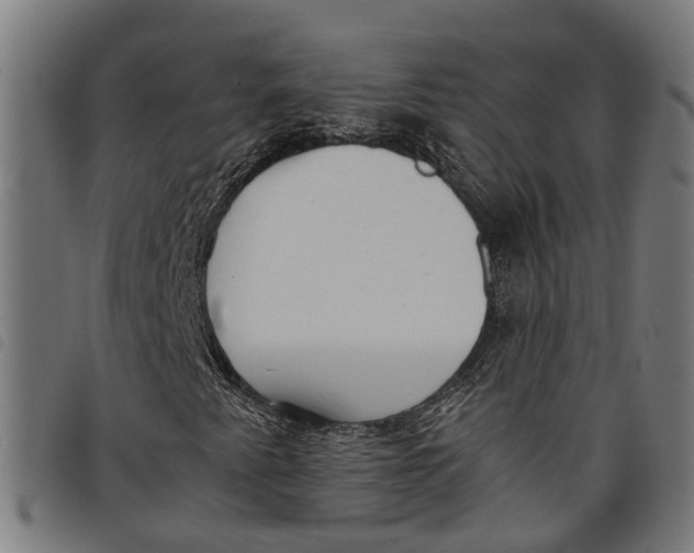 X0000097801345200804041305