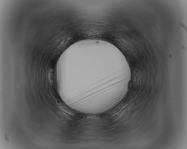 X0000097801346200804041305