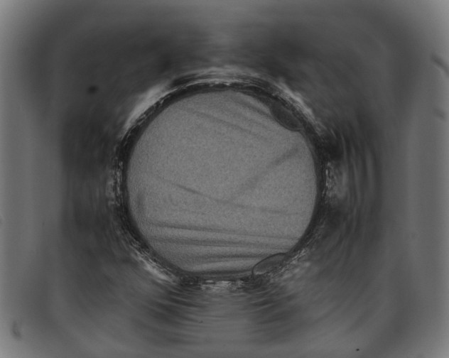 X0000097801352200804041305