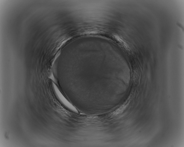 X0000097801353200804041305