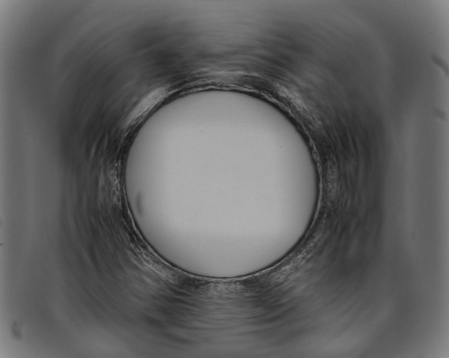 X0000097801354200804041305