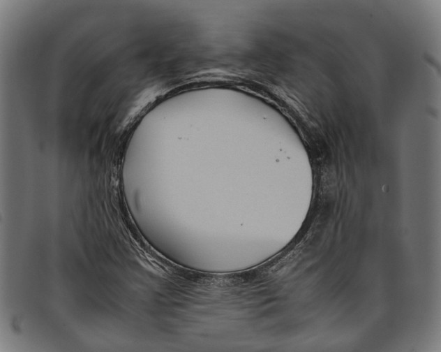 X0000097801355200804041305