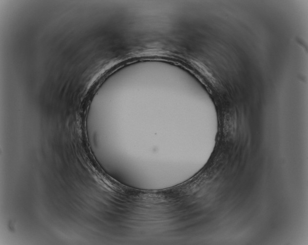 X0000097801356200804041305