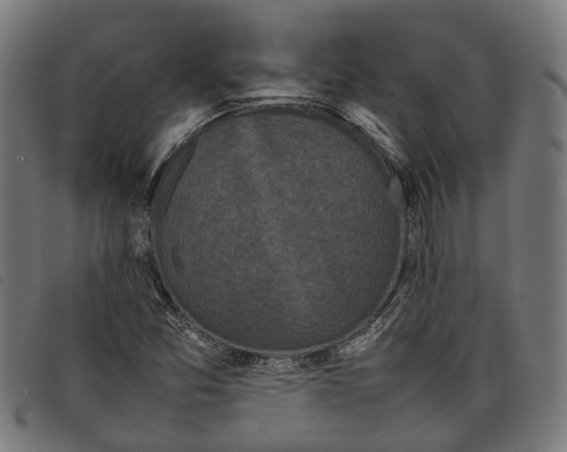 X0000097801357200804041305