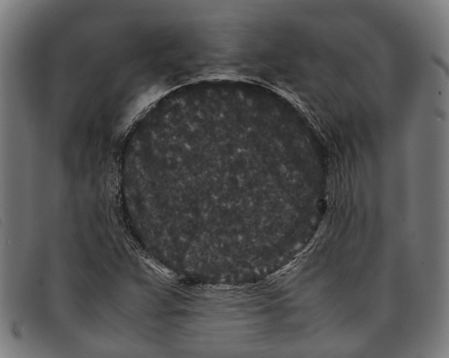 X0000097801359200804041305