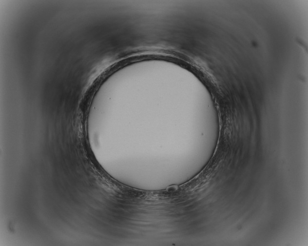 X0000097801360200804041305