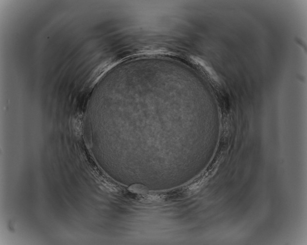 X0000097801361200804041305