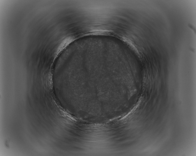 X0000097801362200804041305