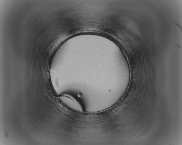 X0000097801363200804041305