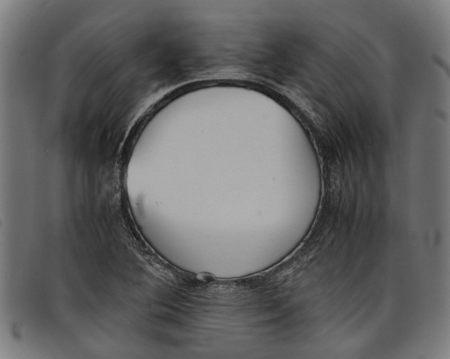 X0000097801364200804041305