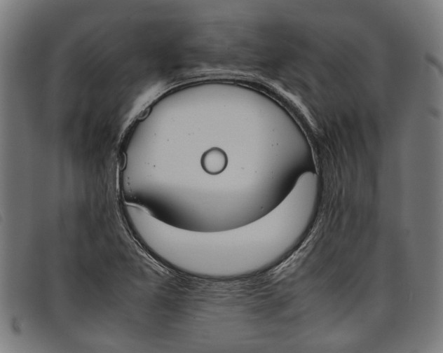 X0000097801365200804041305