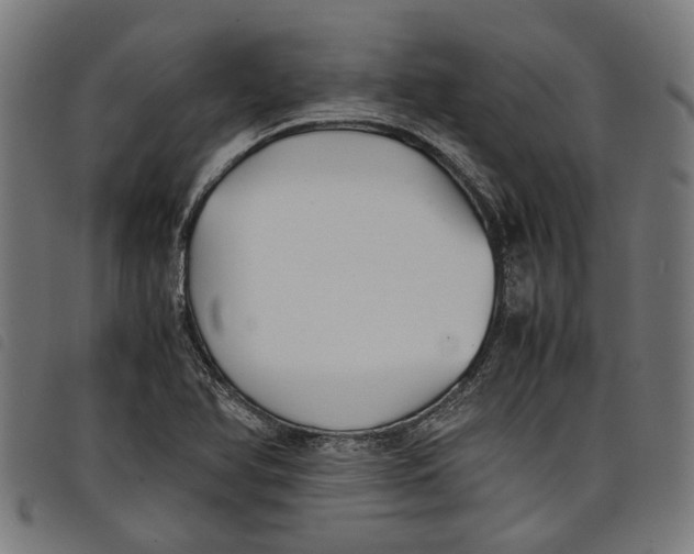 X0000097801366200804041305