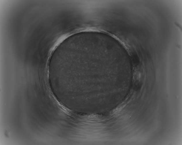 X0000097801367200804041305