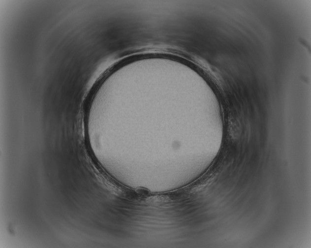 X0000097801368200804041305