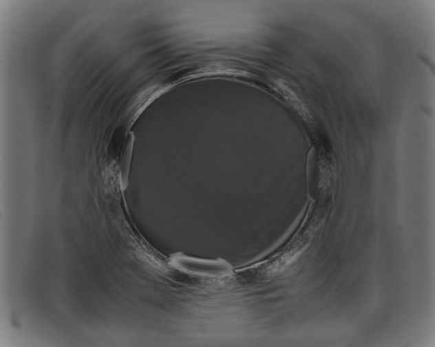 X0000097801369200804041305