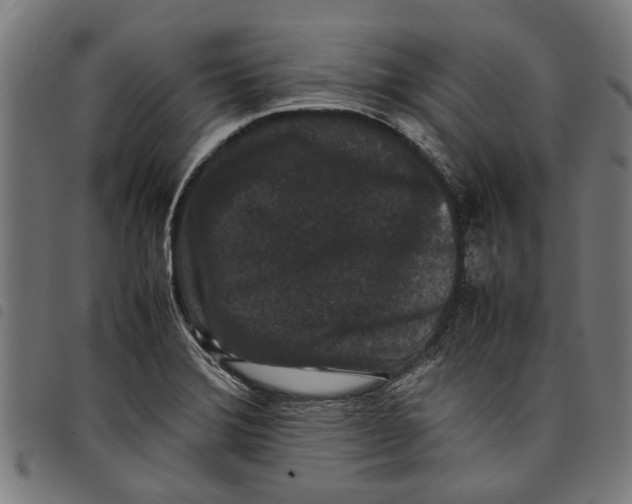 X0000097801372200804041305