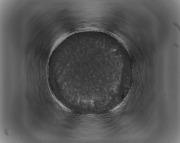 X0000097801373200804041305