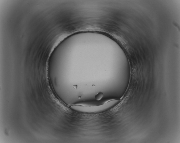 X0000097801374200804041305