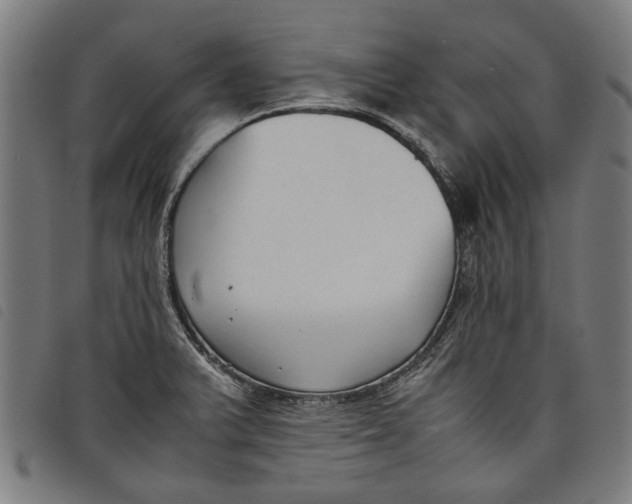 X0000097801375200804041305