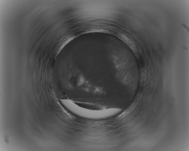 X0000097801377200804041305