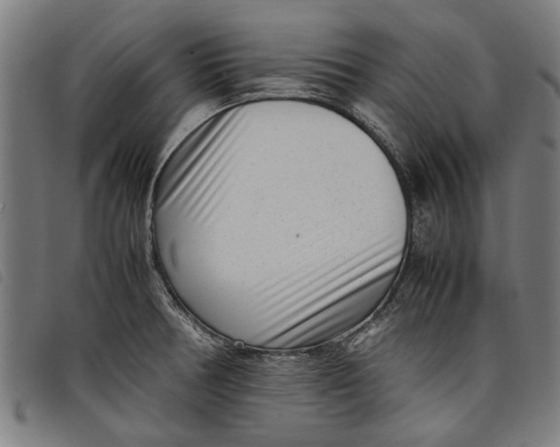 X0000097801378200804041305