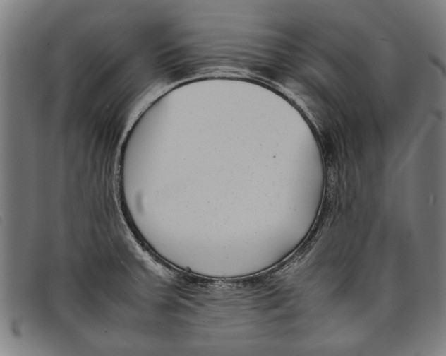 X0000097801379200804041305