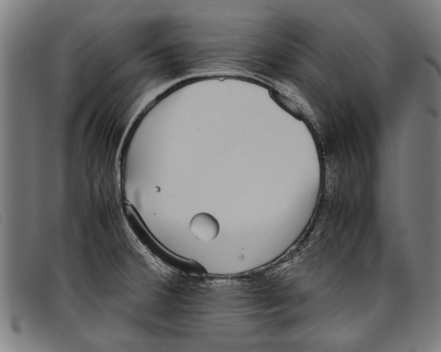 X0000097801380200804041305