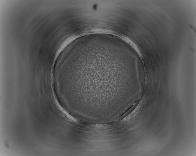 X0000097801381200804041305