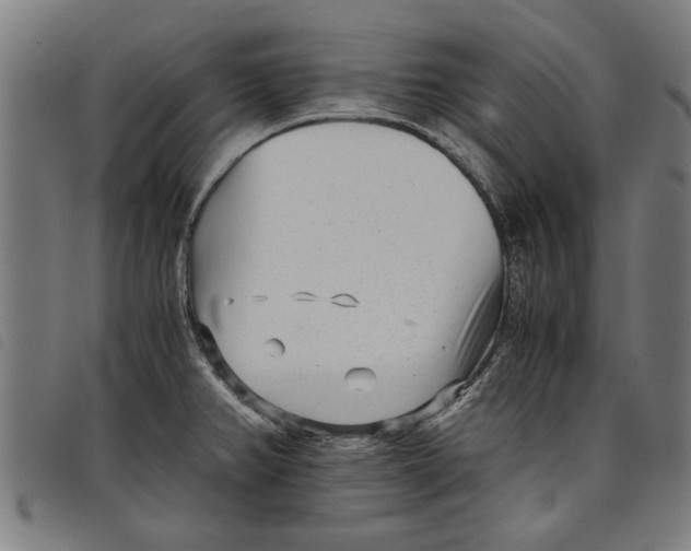 X0000097801382200804041305