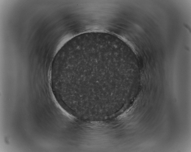 X0000097801383200804041305