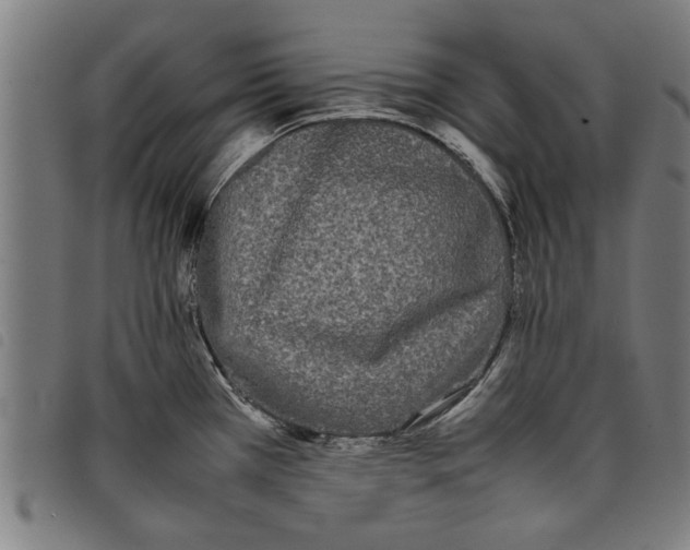 X0000097801385200804041305