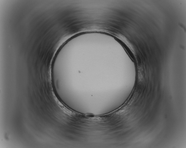 X0000097801388200804041305