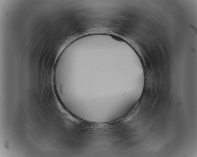 X0000097801390200804041305